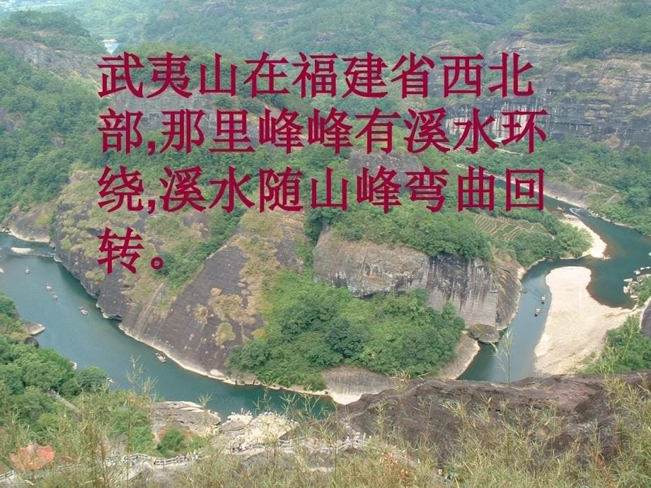 《美丽的武夷山》课件_第5页