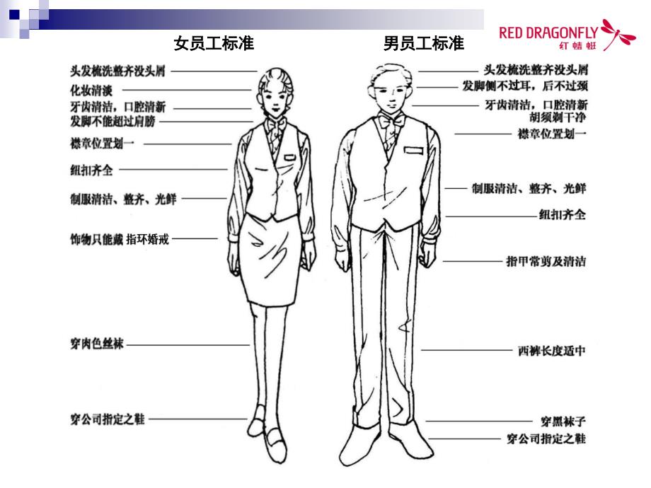 红蜻蜓导购服务PT课件_第4页