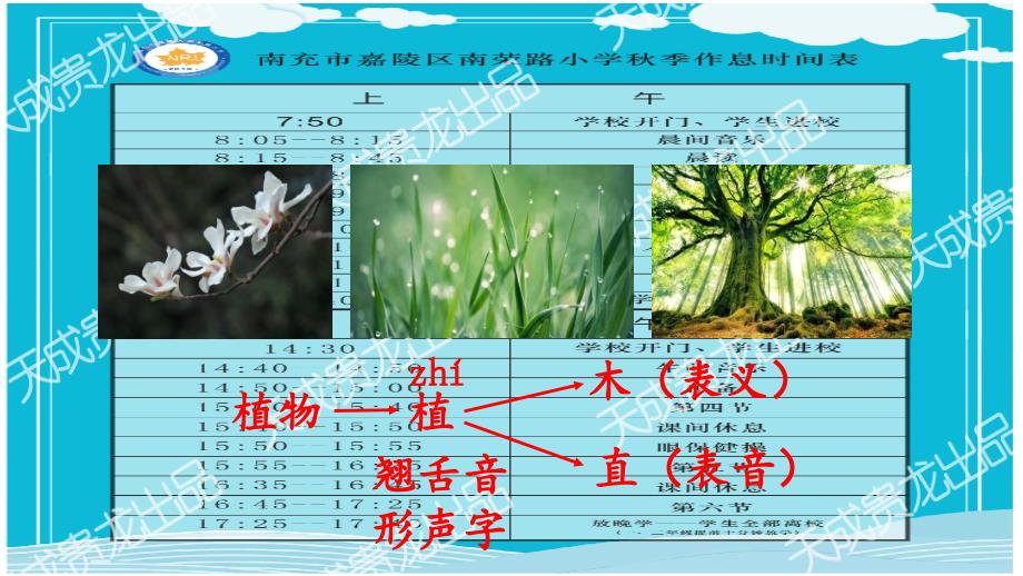 3植物妈妈有办法定稿ppt课件_第3页