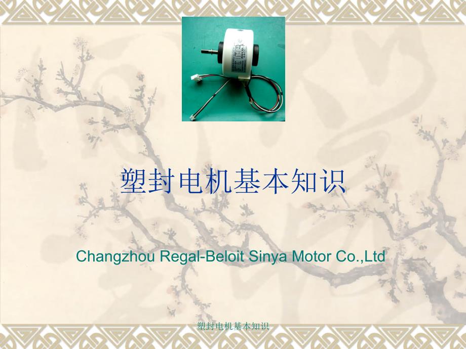 塑封电机基本知识课件_第1页