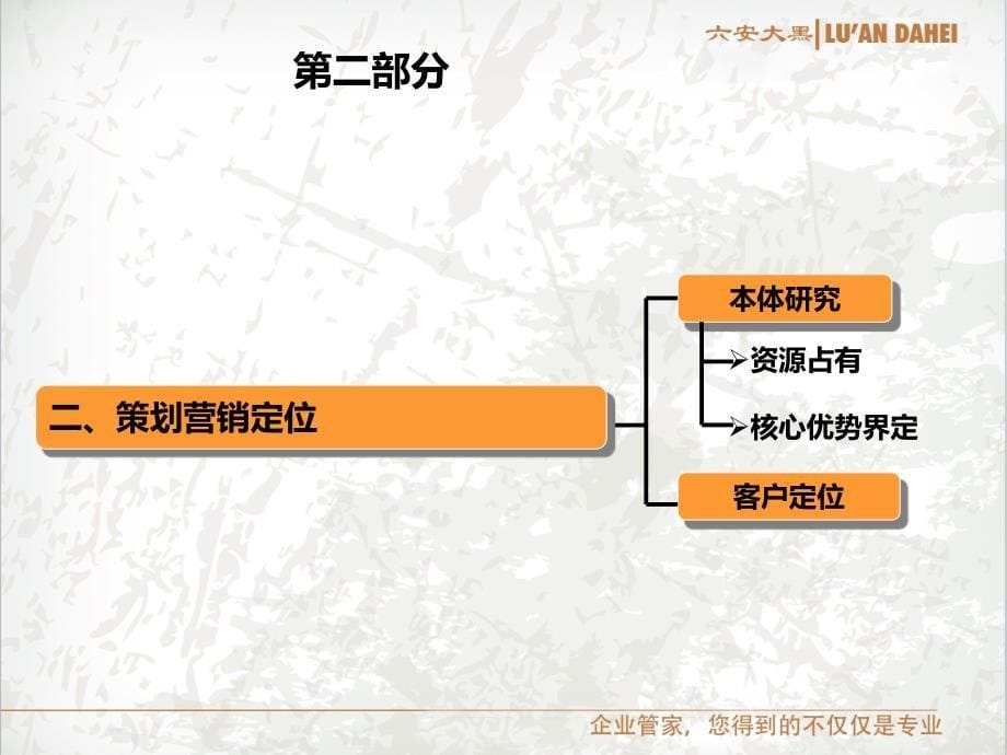 某机动车检测中心营销策划方案(完整版)_第5页