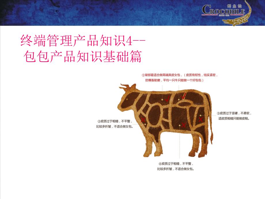 终端管理产品知识4皮具面料基础知识_第1页