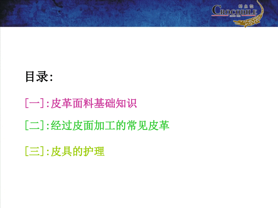 终端管理产品知识4皮具面料基础知识_第2页