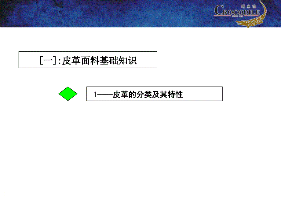 终端管理产品知识4皮具面料基础知识_第4页