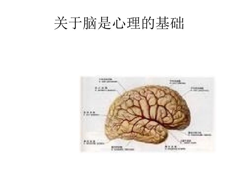 医学心理学心理过程1_第3页