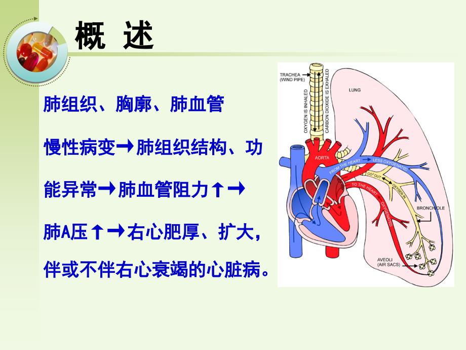 肺源性心脏病病人的护理_第3页