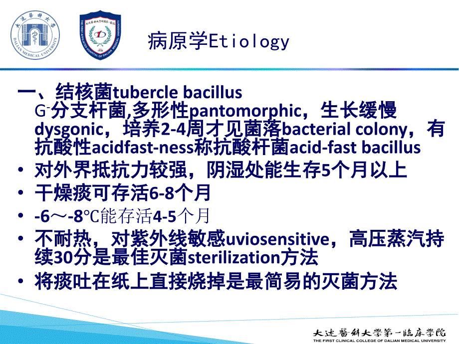 医学教学课件：肺结核病_第4页