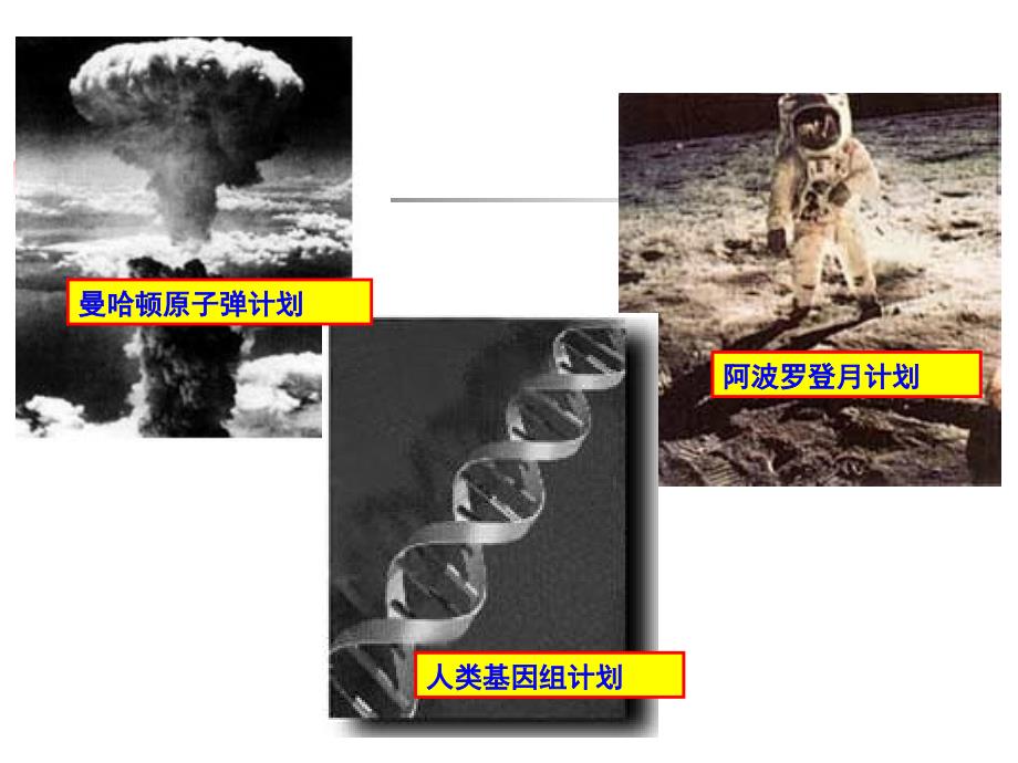 生物信息学1人类基因组计划_第4页