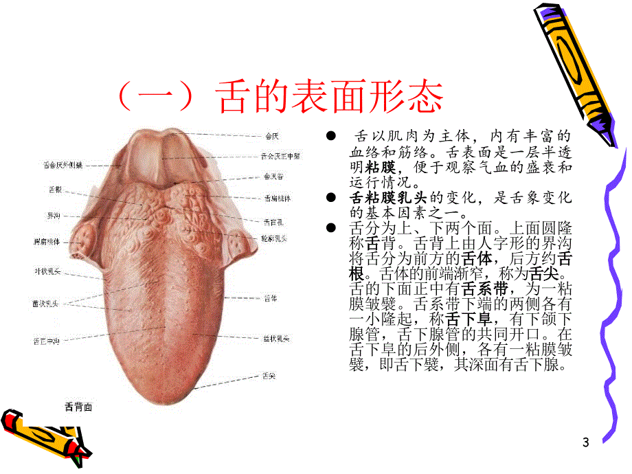 舌象的动态分析课件_第3页