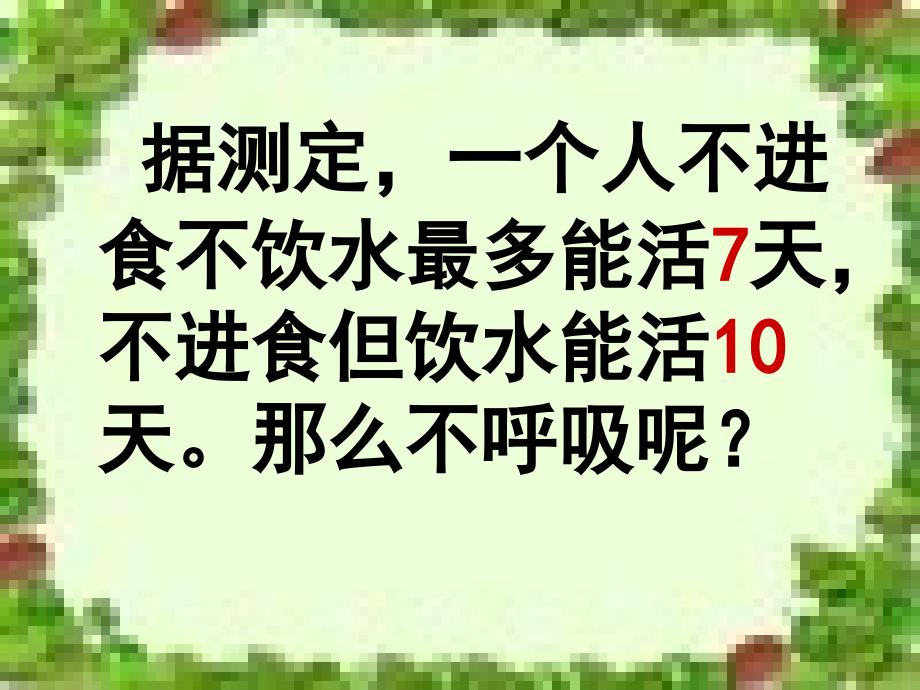 生物----呼吸系统的组成_第2页