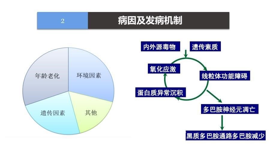 帕金森病的诊治PPT课件_第5页