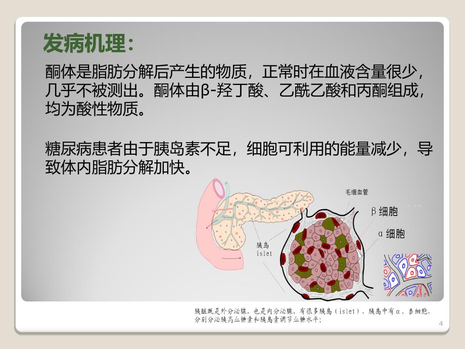 糖尿病酮症酸中毒病人教学查房课件_第4页