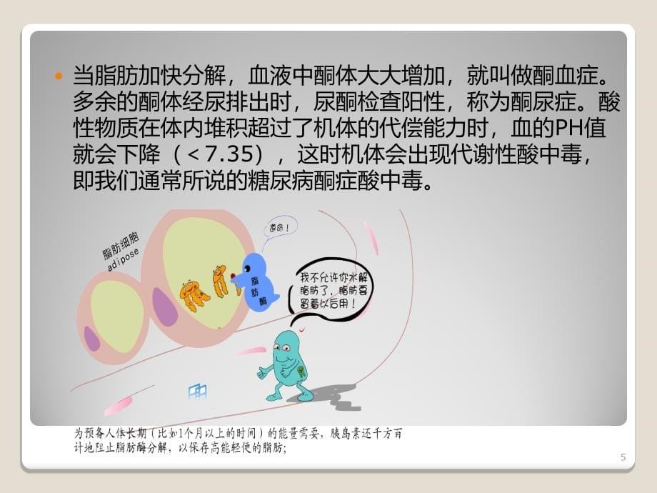 糖尿病酮症酸中毒病人教学查房课件_第5页