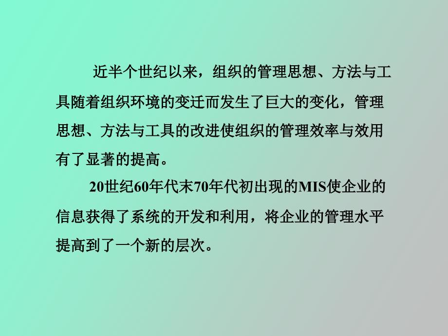 管理信息系统第十章_第2页