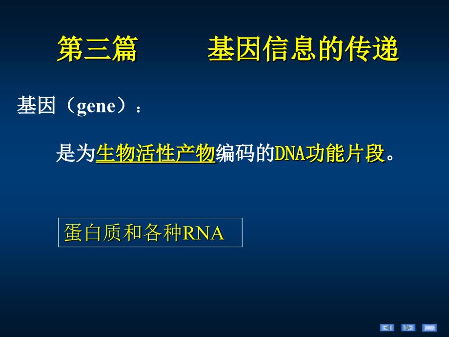 DNA的生物合成ppt课件_第1页