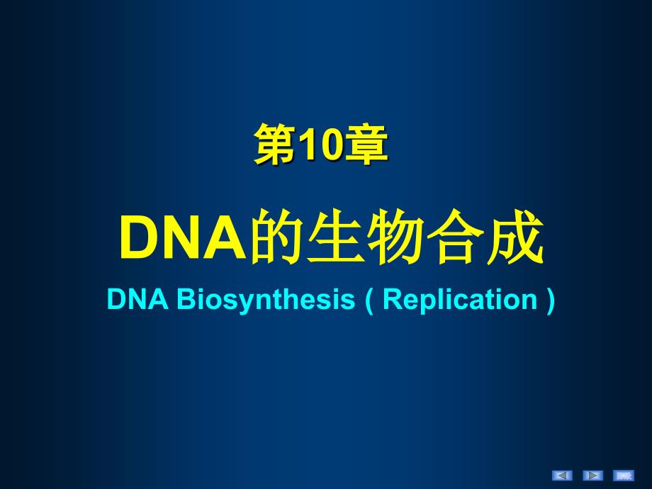 DNA的生物合成ppt课件_第4页