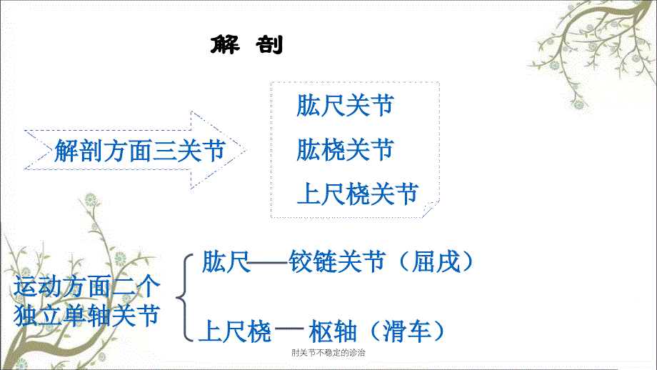 肘关节不稳定的诊治_第2页