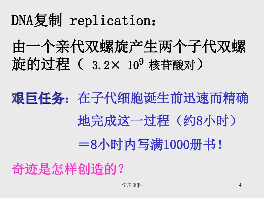 第四章 细胞的复制与转录#学习资料_第4页