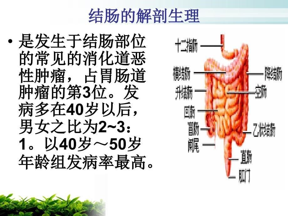 结肠癌化疗护理查房课件_第5页