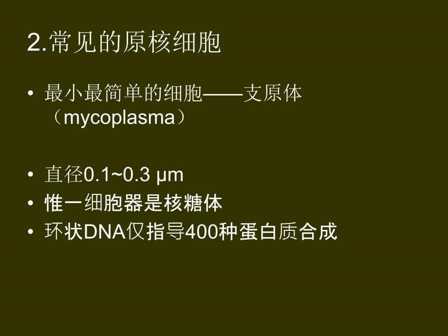 医学细胞生物学课件：2 细胞的概念与分子基础_第5页