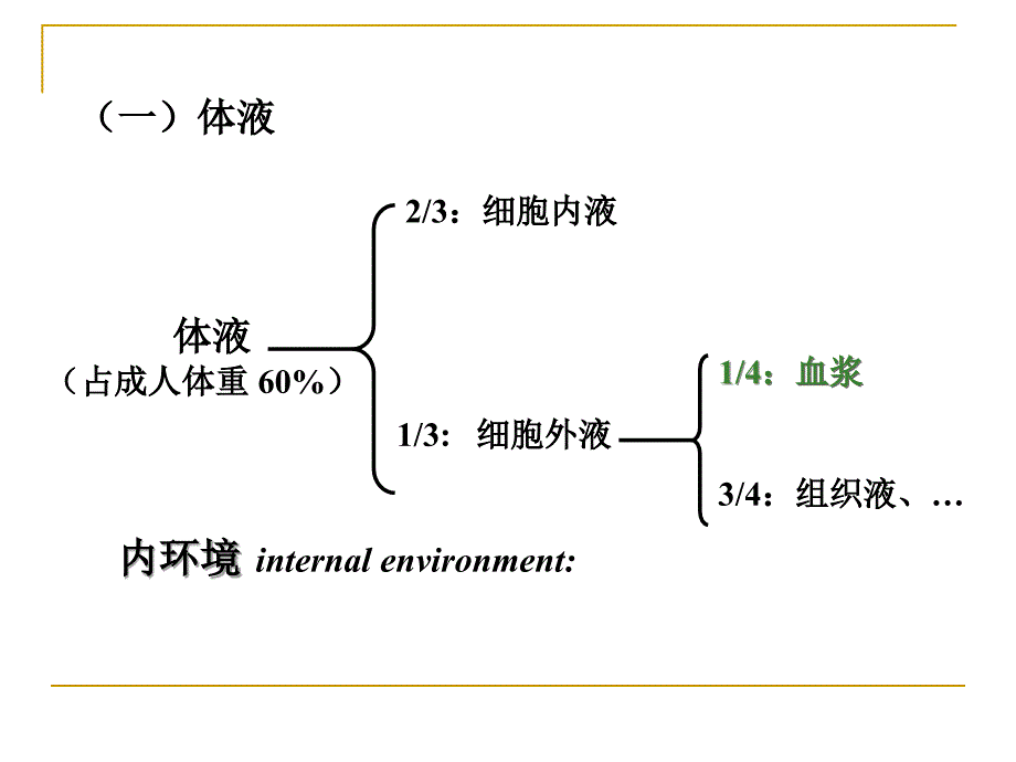 生理学课件第三章血液_第3页