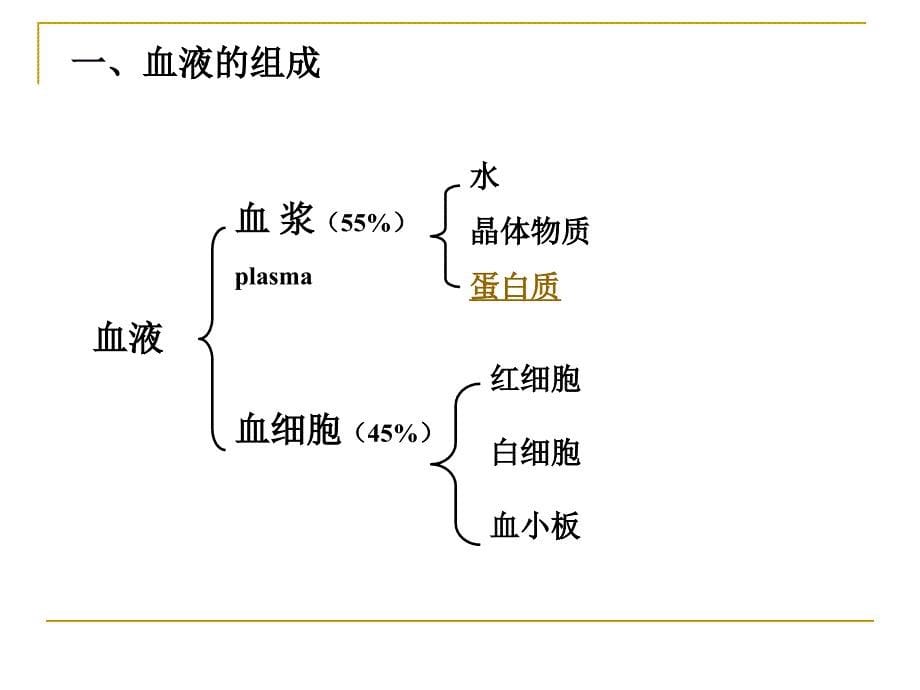 生理学课件第三章血液_第5页