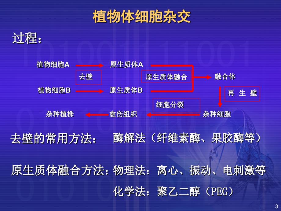 植物细胞工程的应用huang_第3页