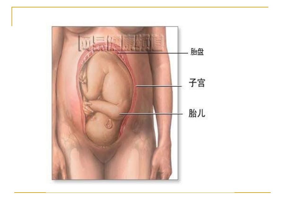 孕产期营养与安娩_第3页