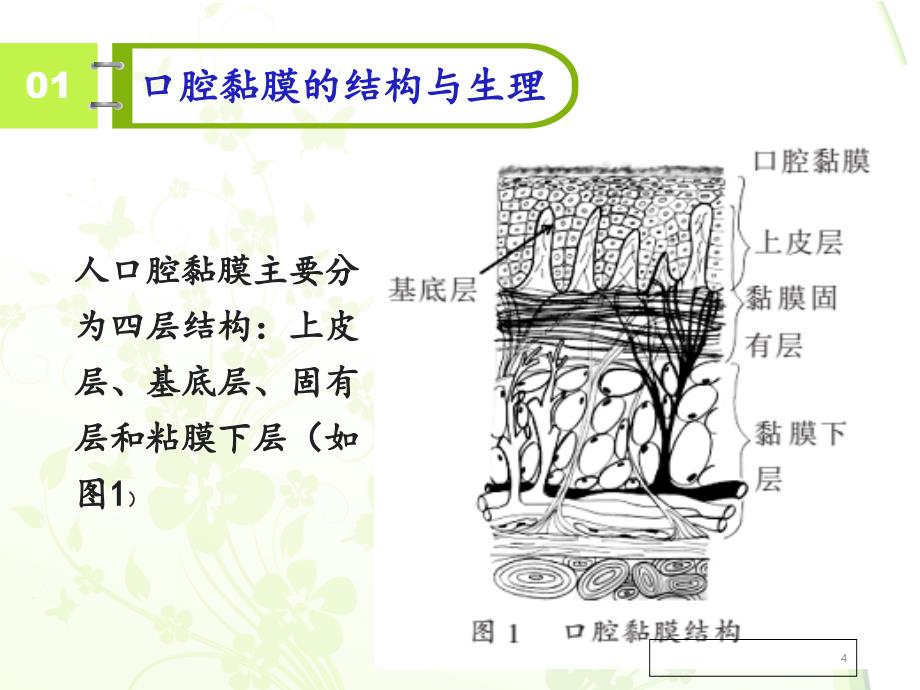 口腔黏膜给药_第4页