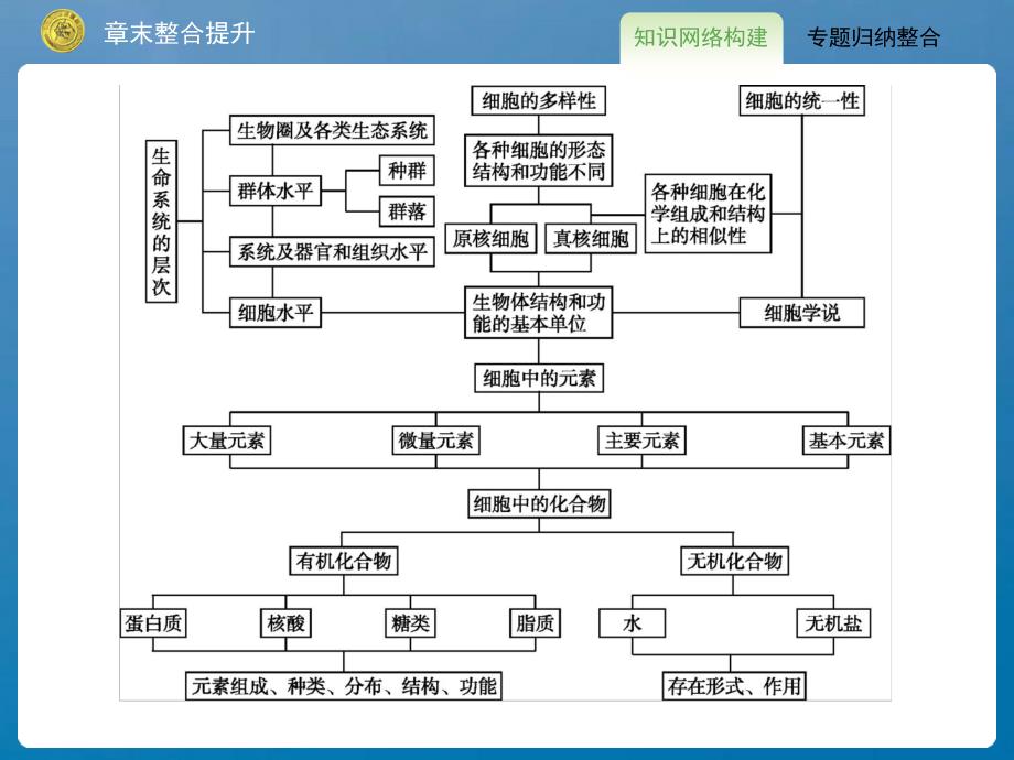 普陀补习班高中生物12章末整合提升ppt课件_第2页