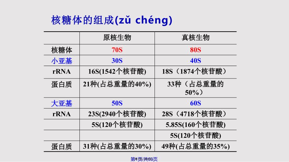 ch生命活动基本单位细胞实用教案_第1页