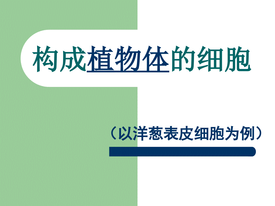 细胞基本结构与功能.ppt_第4页