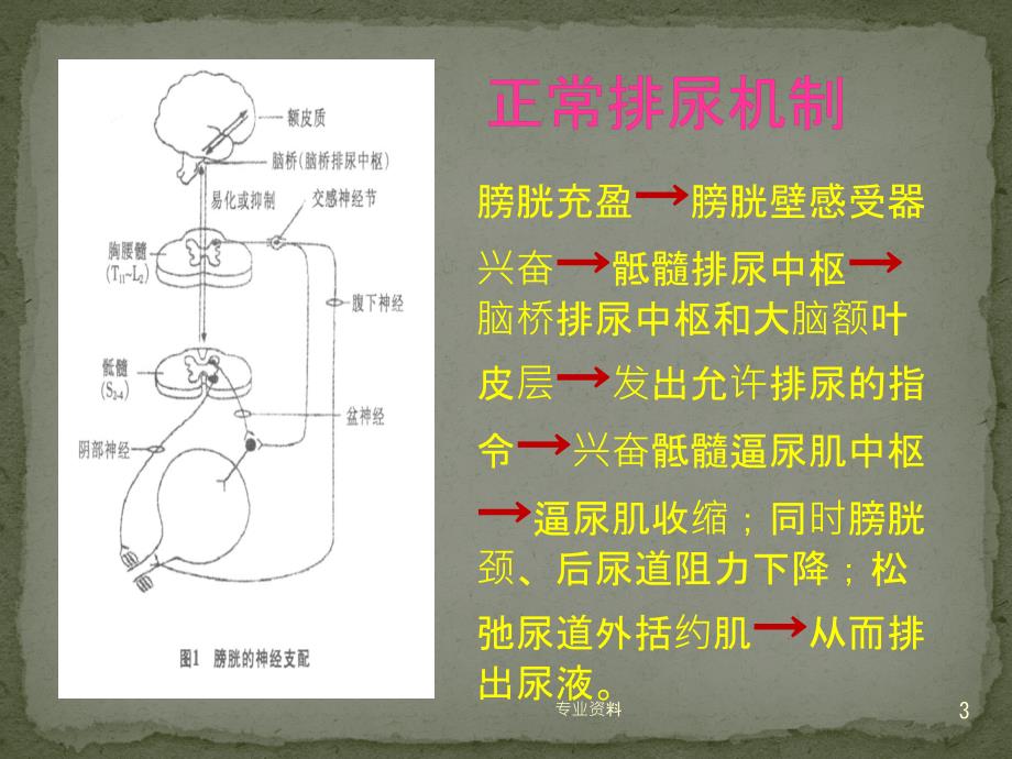 神经源性膀胱的功能训炼专家指导_第3页