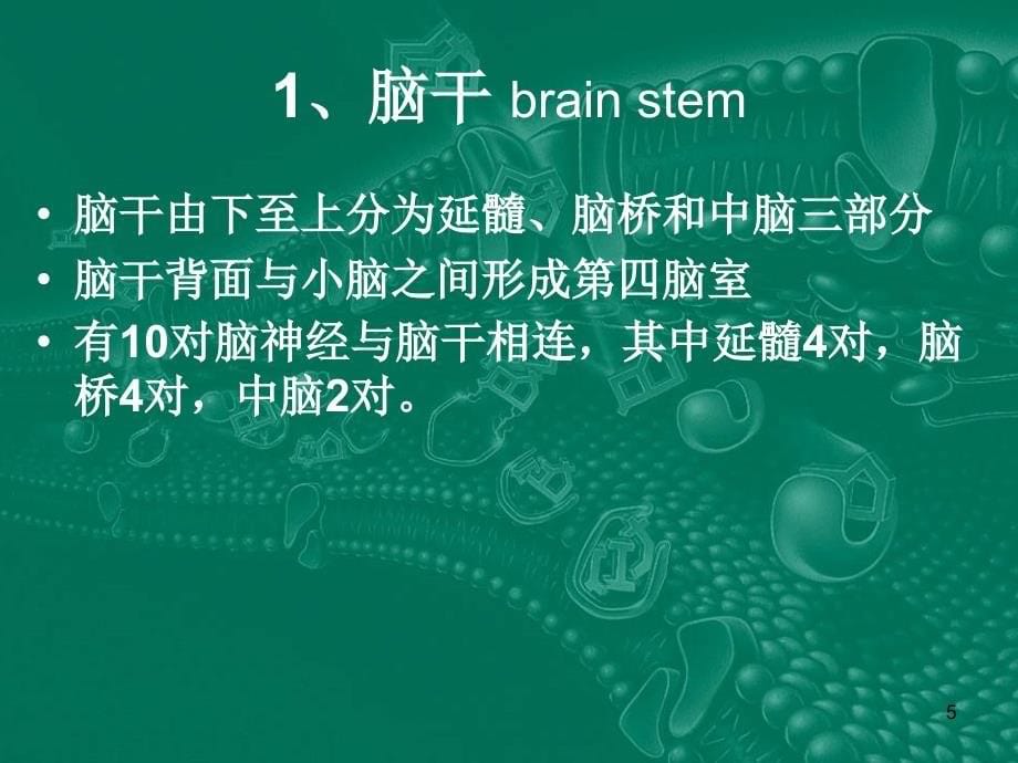 神经外科教学ppt课件_第5页