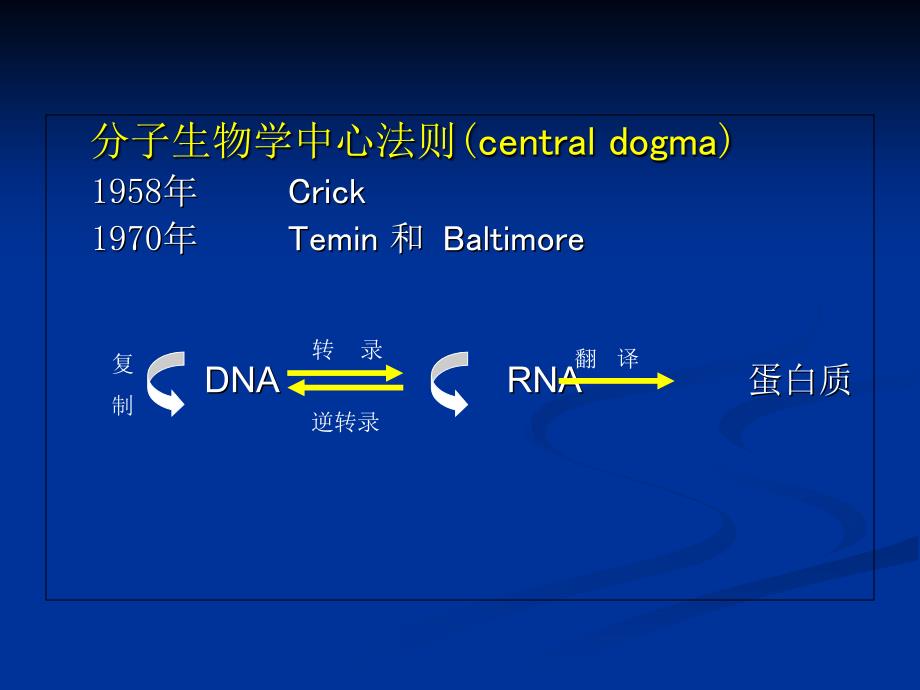 DNA的复制、修复与重组DNA技术_第3页