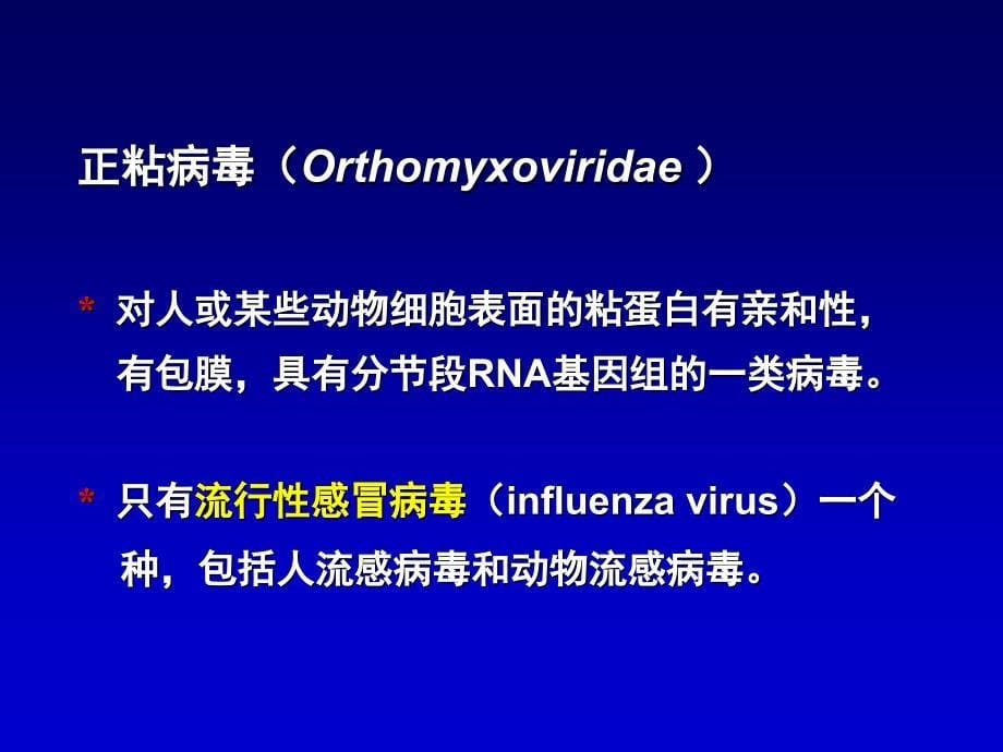 《呼吸道病毒》PPT课件_第5页