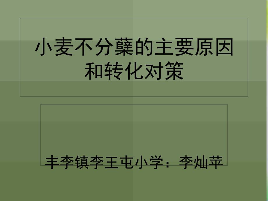 小麦不分蘖的主要原因_第1页