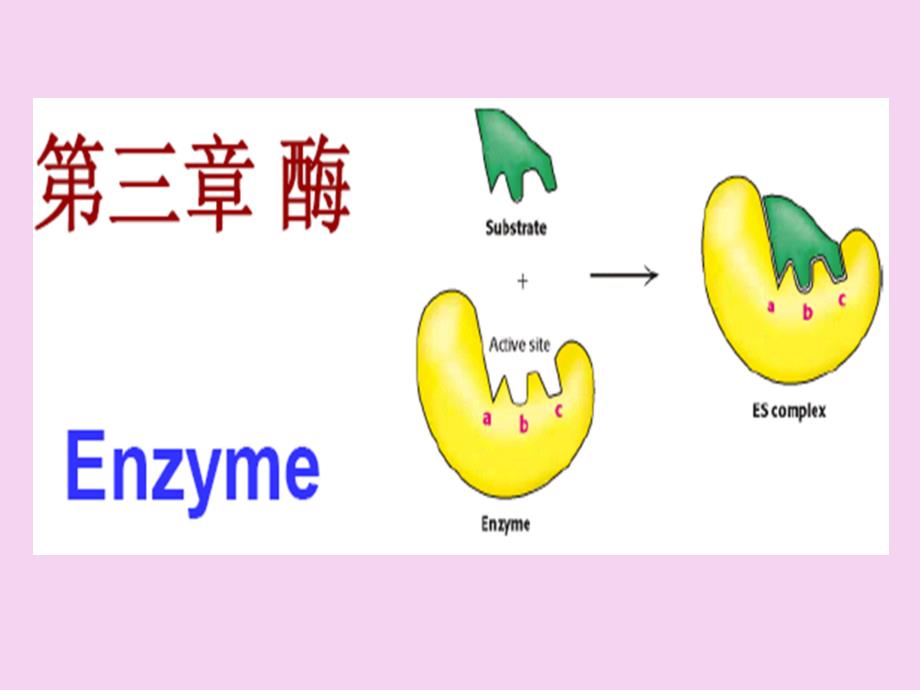 生化第三章酶ppt课件_第1页