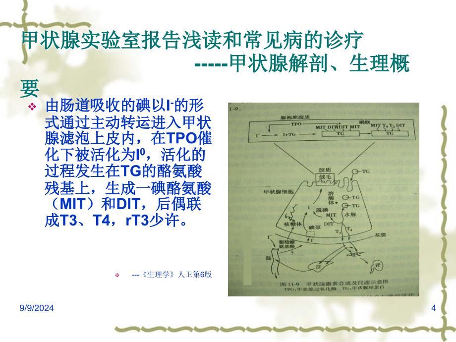 甲状腺疾病实验室报告的浅读ofwlnppt课件_第4页