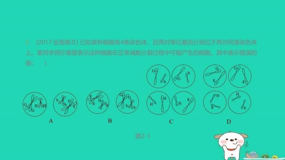 生物 细胞的增殖、分化、衰老、凋亡和癌变_第5页