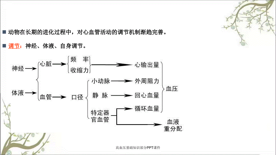 高血压基础知识部分PPT课件_第4页