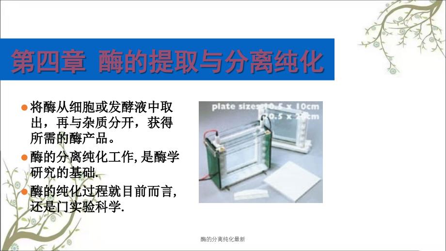 酶的分离纯化最新课件_第1页