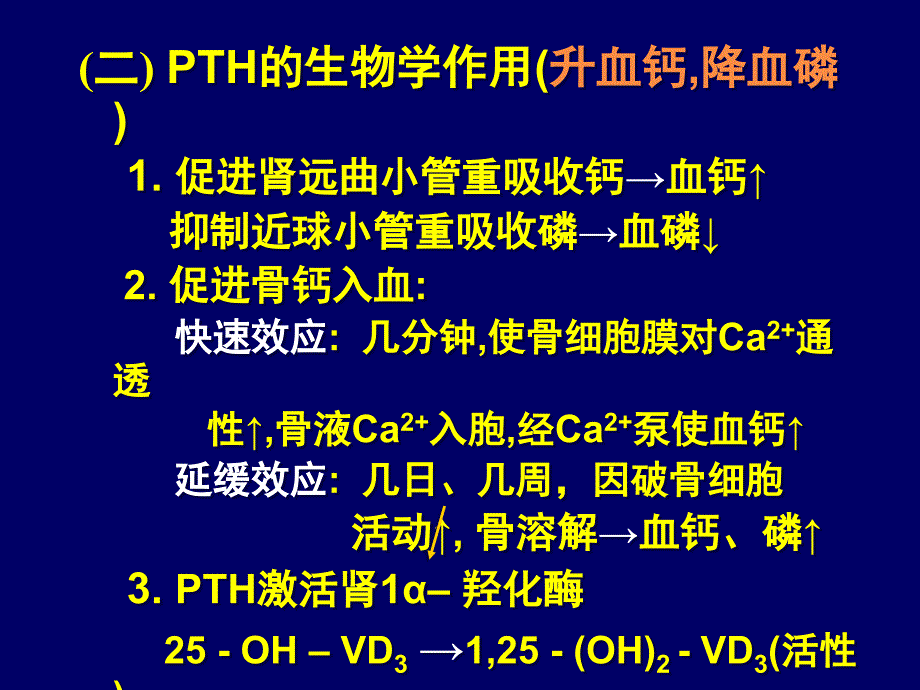 生理学课件：11.4 甲状旁腺与调节钙、磷 代谢的激素_第4页