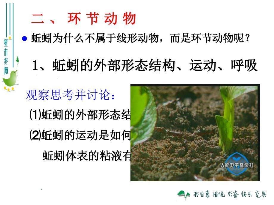 八年级上册生物第二节_线形动物和环节动物课件_第5页