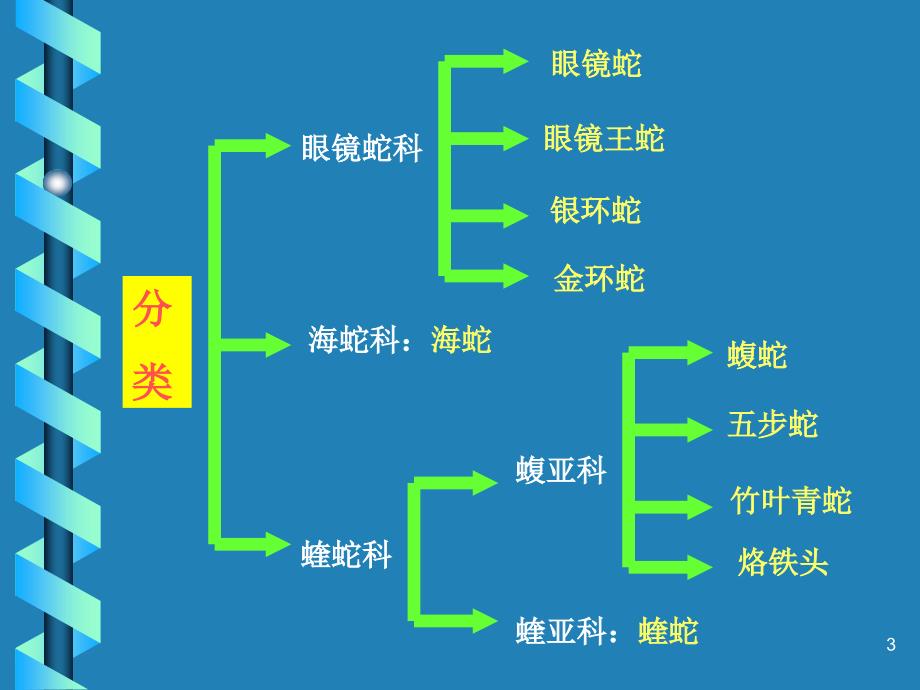 医院毒蛇伤救治_第3页