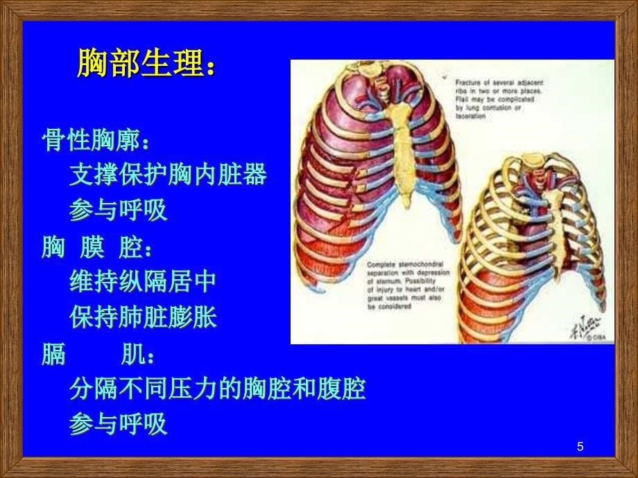 胸部损伤ppt课件_第5页