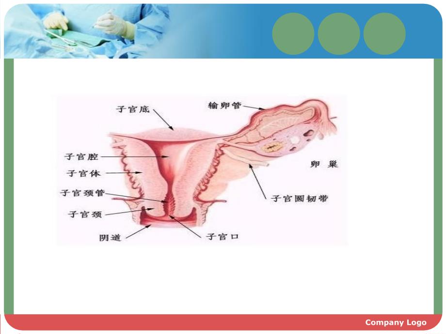 妇产科宫外孕护理查房_第4页