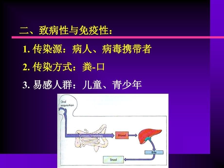 14肝炎病毒护理文档资料_第5页