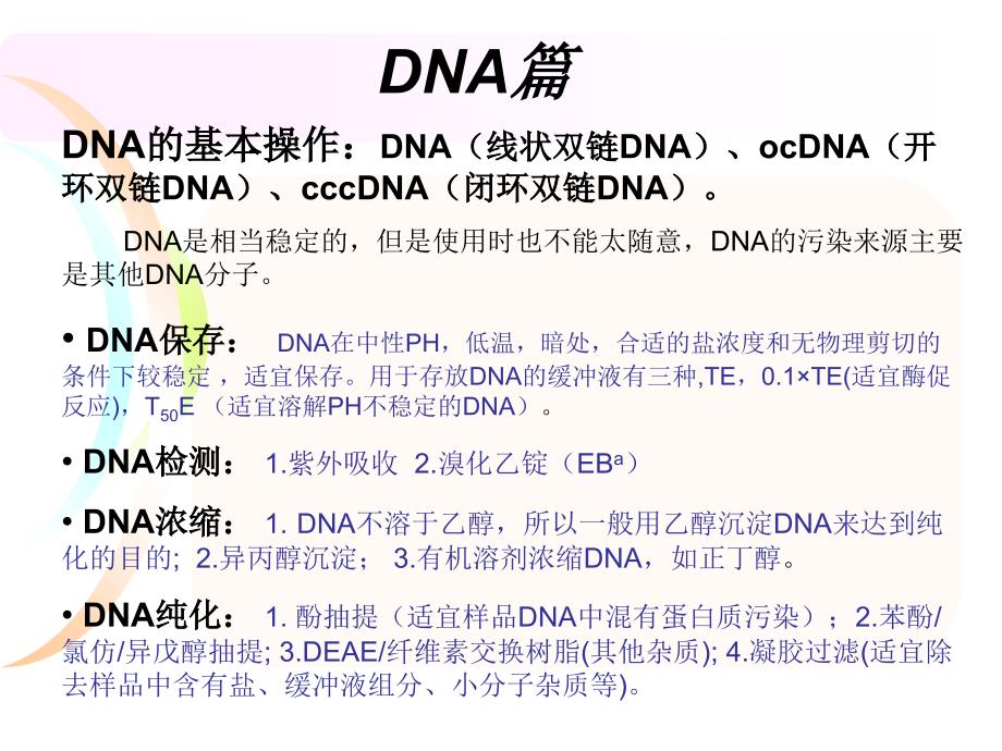 DNARNA蛋白质课件_第2页