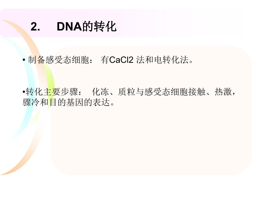 DNARNA蛋白质课件_第4页